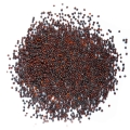 mustard red giant seeds