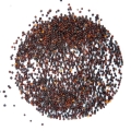 komatsuna red seeds
