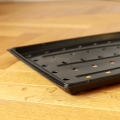 Growing-plate-for-microgreens.jpg