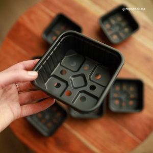 Niska doniczka 11x11 cm 