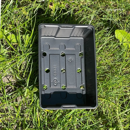 growing pot 10x14.jpg