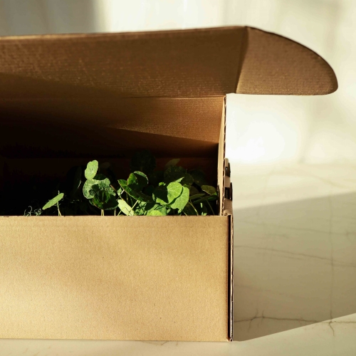 Pudełko transportowe małe