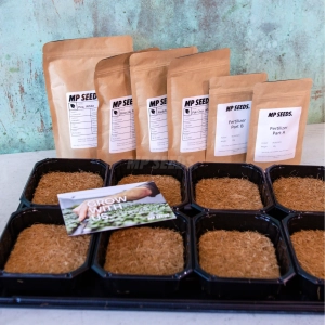 Profesjonalny zestaw startowy do uprawy mikroliści