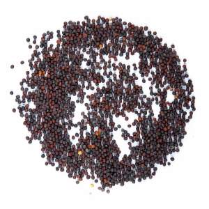 Brokuł, Raab Nasiona na Mikroliście