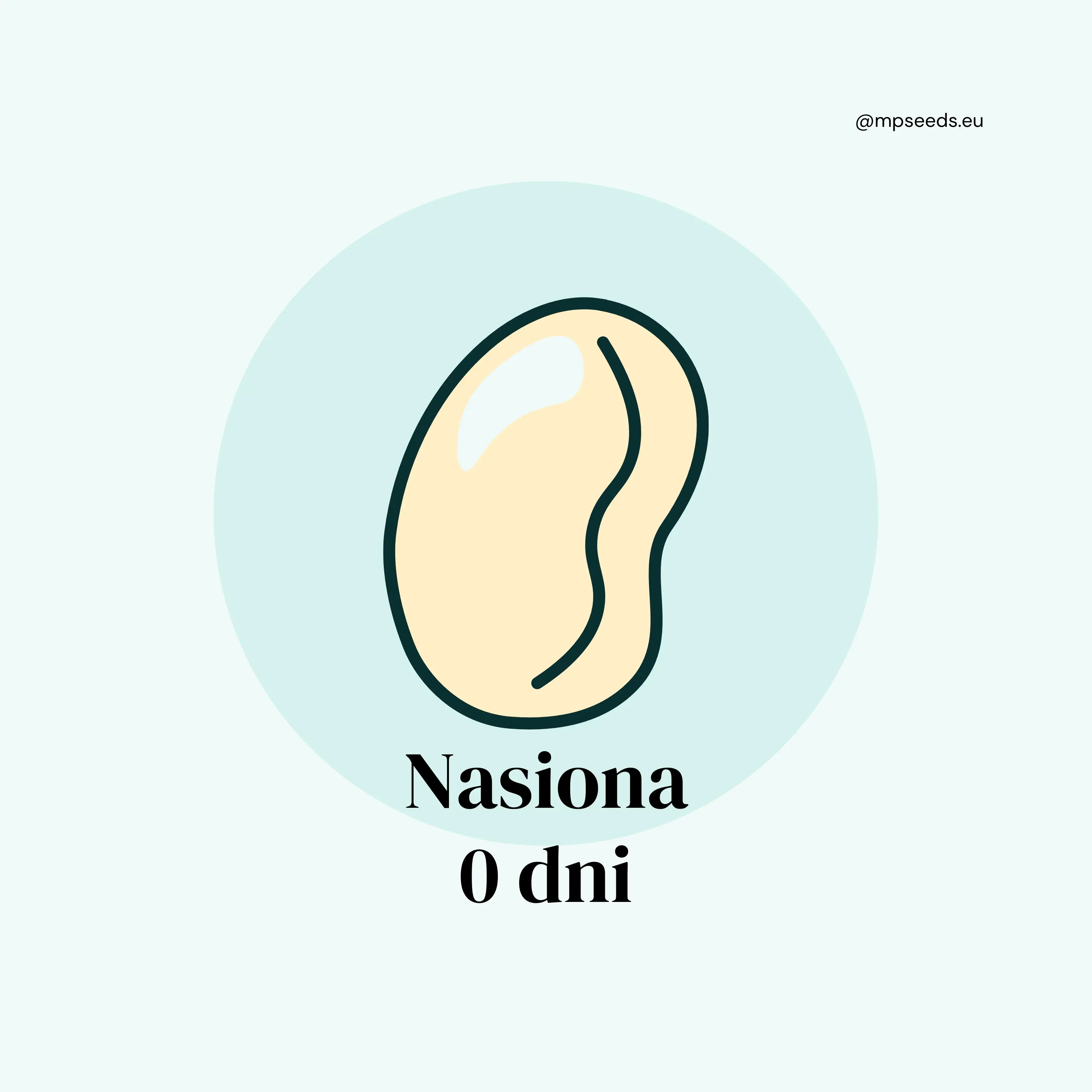 Nasiona-faza 1