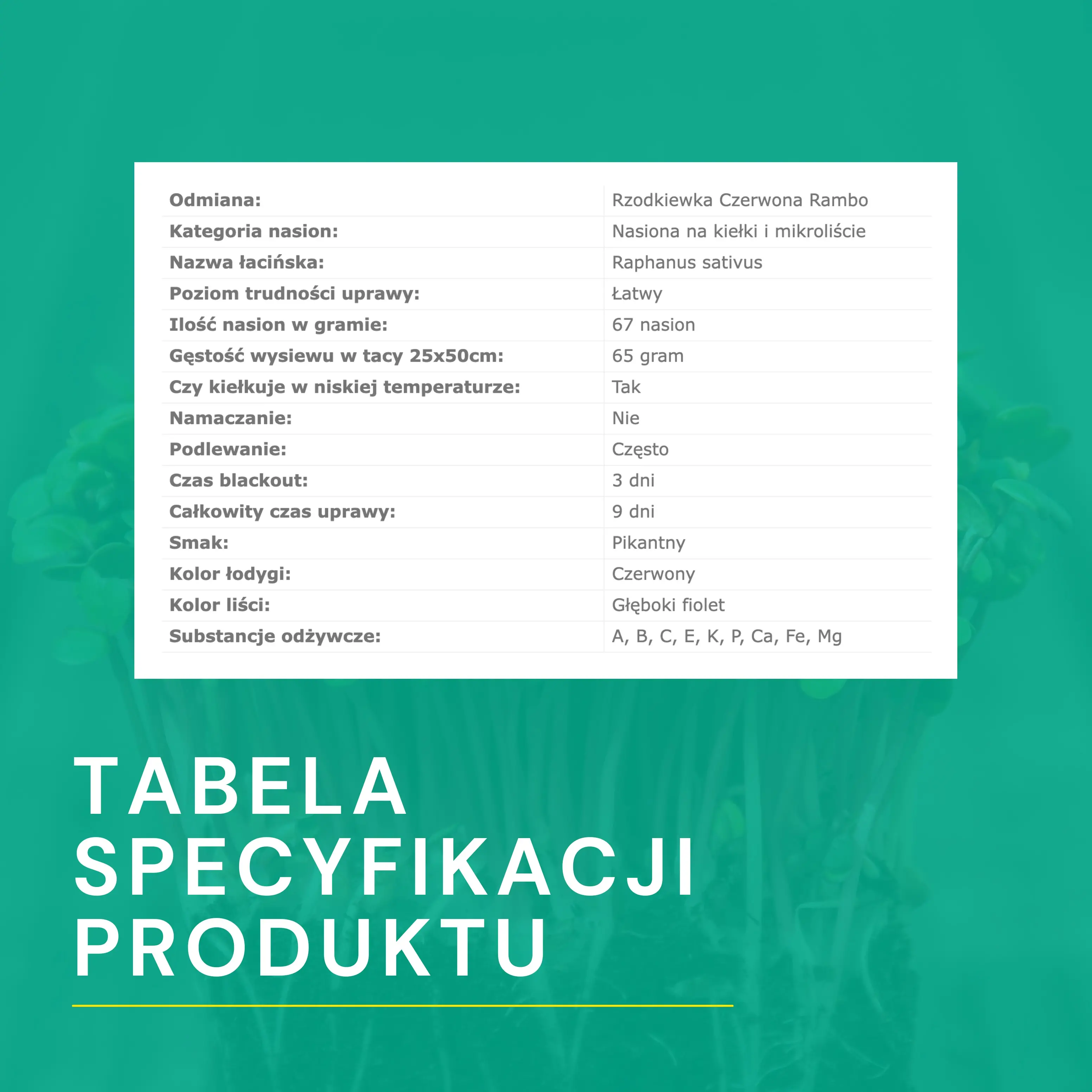 Przykładowa tabela ze specyfikacją produktu.