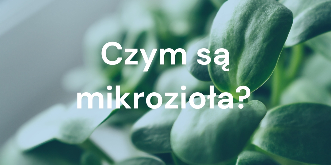 Odkryj Mikro Liście: Kolorowe i Odżywcze Skarby Natury!