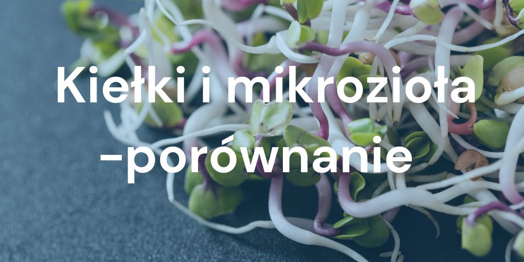 Czym są kiełki i mikro liście. Definicja, podobieństwa i różnice