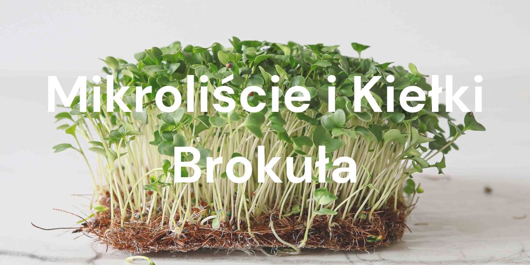 Mikroliście brokuła: Wszystko, co musisz wiedzieć o uprawie i korzyściach dla zdrowia