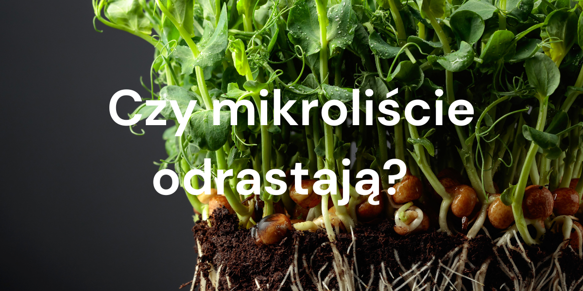 Mikroliście, które odrastają po ✂️ przycięciu