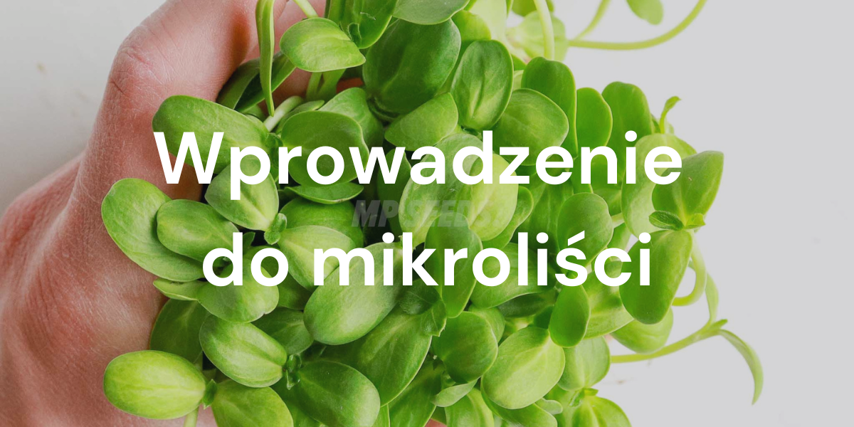 Wprowadzenie do mikroliści: charakterystyka i różnice