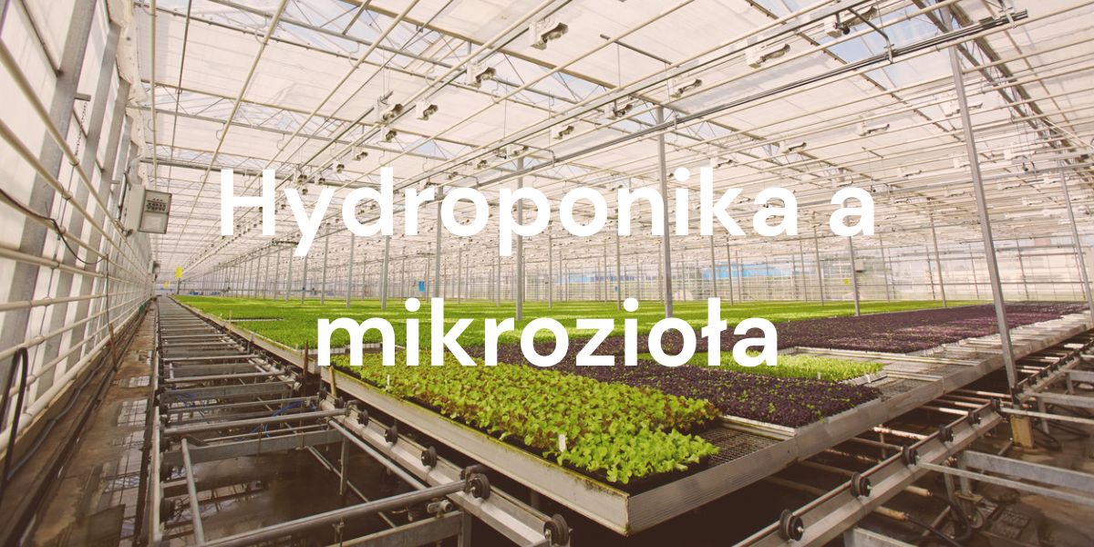 Czym są hydroponika i akwaponika oraz czy można uprawiać mikroliście w systemie hydroponicznym?