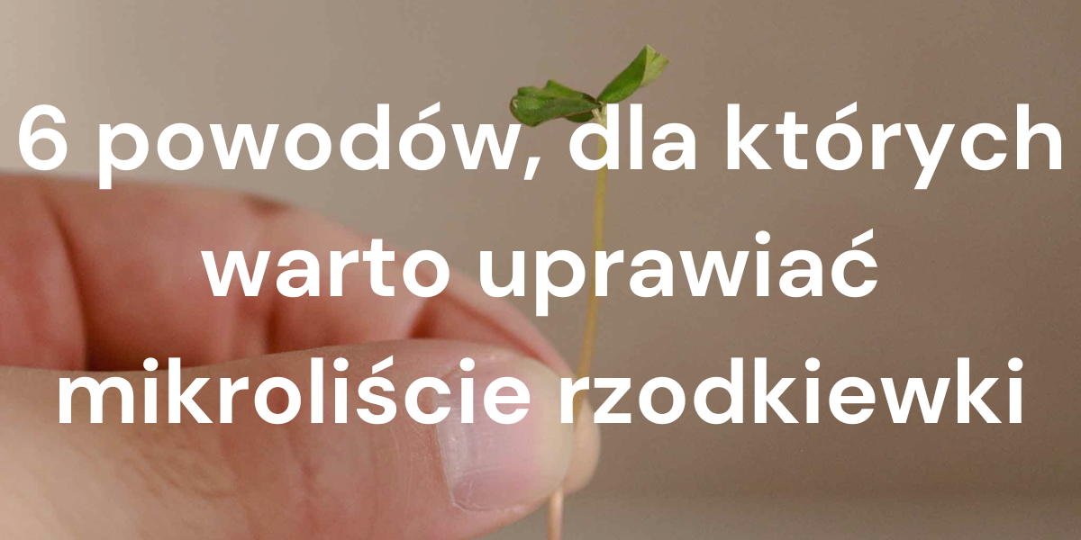 6 powodów, dla których warto uprawiać mikroliście rzodkiewki