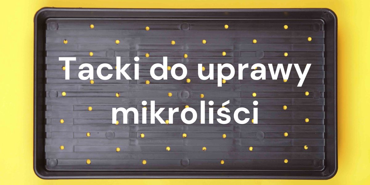 Najlepsze tacki i doniczki do uprawy mikroliści: praktyczny przewodnik