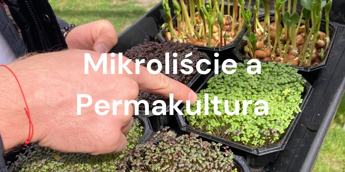 Mikroliście a Permakultura. Dbałość o Ziemię, Ludzi i Sprawiedliwy Podział