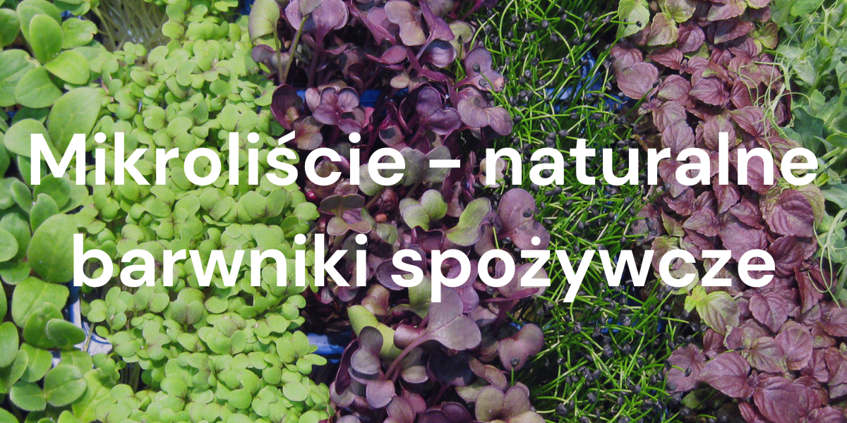 Mikroliście jako naturalne barwniki spożywcze: korzyści i najlepsze odmiany dla przemysłu spożywczego