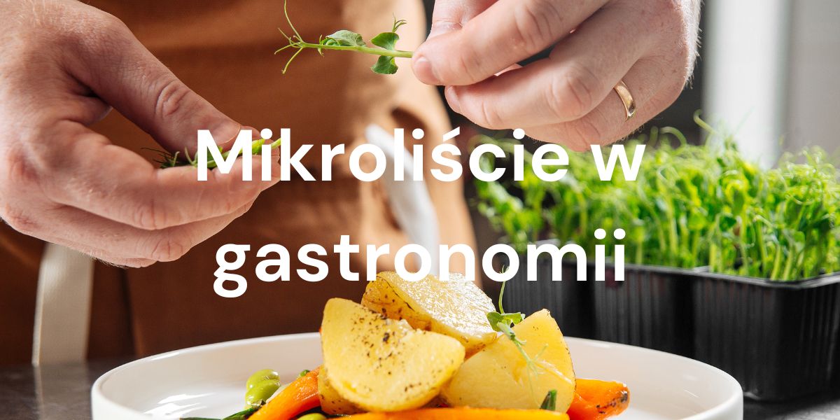 Mikroliście w gastronomii: dlaczego są wykorzystywane w daniach i 5 odmian najchętniej wybieranych przez szefów kuchni
