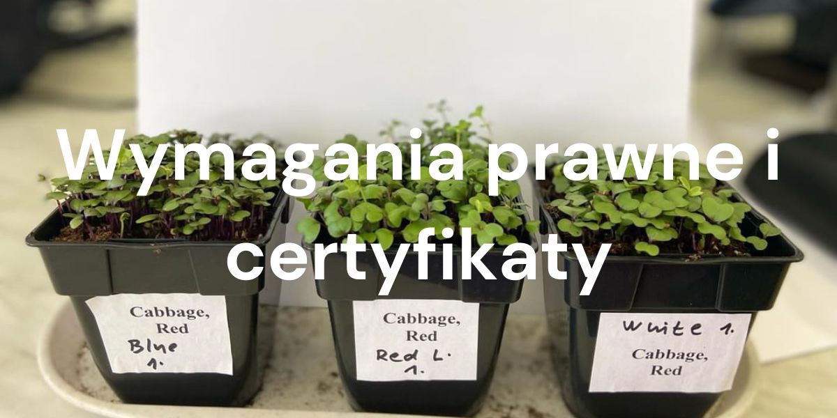 Biznes z mikroliśćmi krok po kroku: Wymagania prawne i certyfikaty