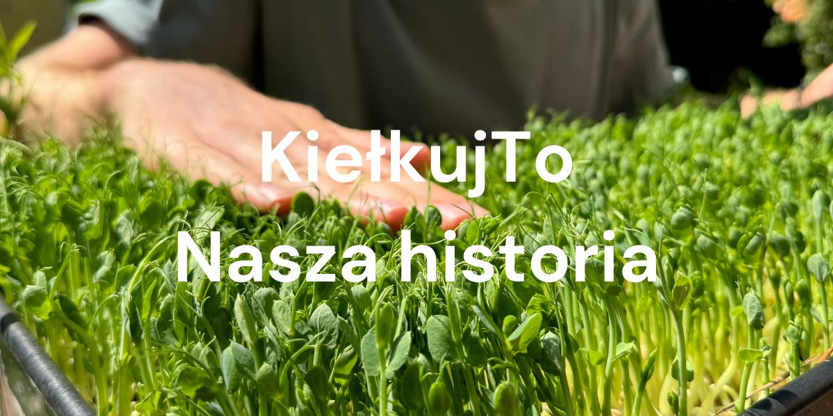 Od spontanicznego pomysłu zrodzonego na imprezie do europejskiej sieci dostaw - poznaj skromne początki KiełkujTo