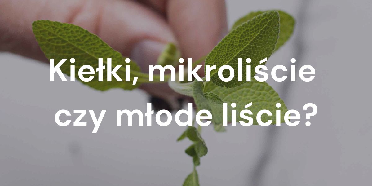 Porównanie kiełków, mikroliści i młodych liści z perspektywy uprawy.