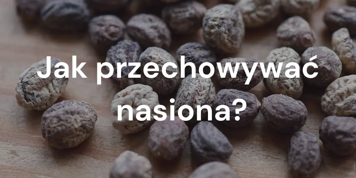 Sposoby przechowywania nasion. Co zrobić, by nasiona mikroliści zachowały wysoką jakość?