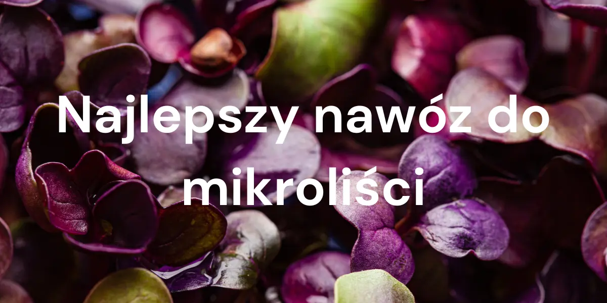 Najlepszy nawóz do mikroliści — Kluczowe wskazówki dla bujnego wzrostu
