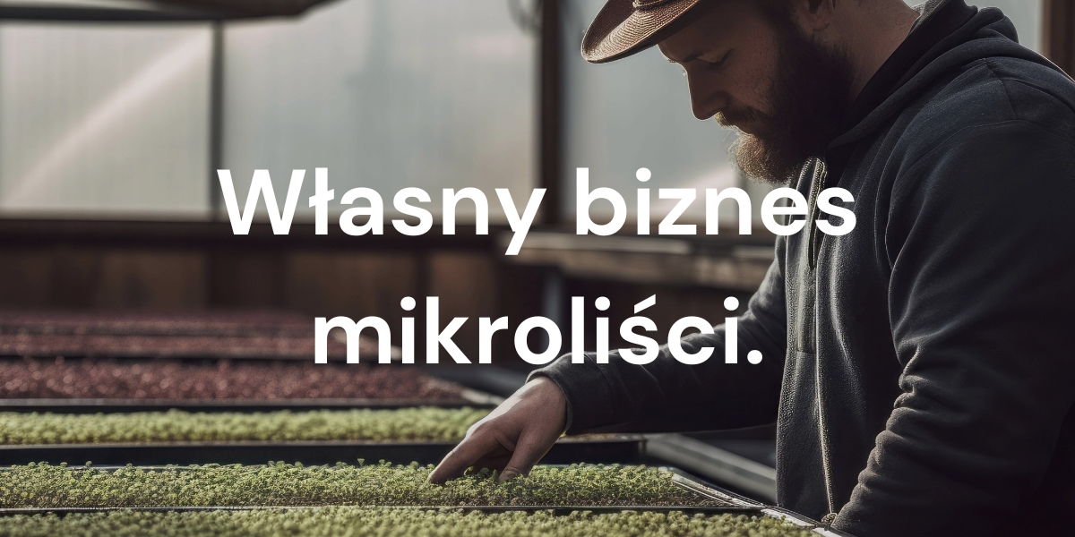 Jak rozpocząć sprzedaż mikroliści? Przewodnik dla przyszłych przedsiębiorców mikroliści