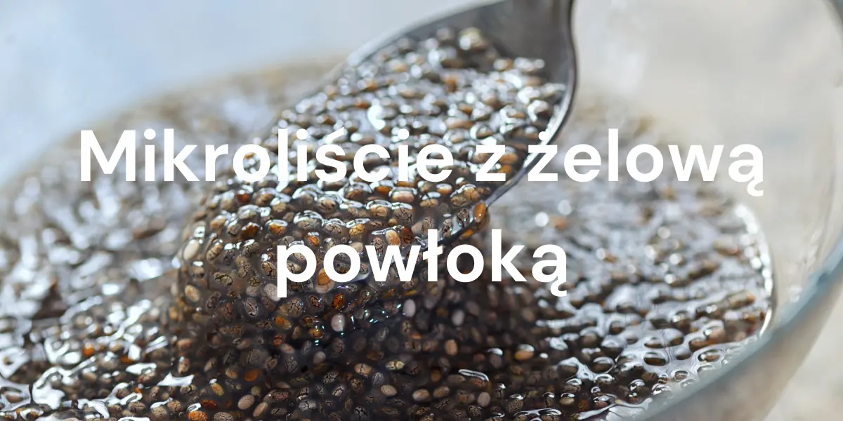 Mikroliście z żelową powłoką – sekrety uprawy i zastosowania