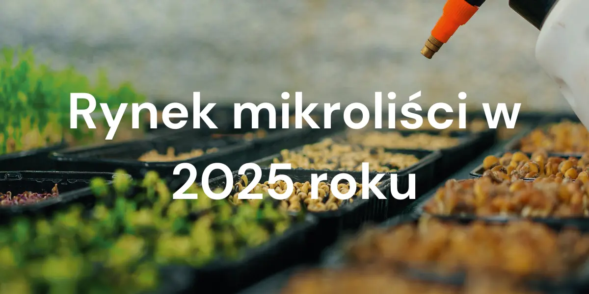 Rynek mikroliści 2025: Trendy, rozwój i potencjał