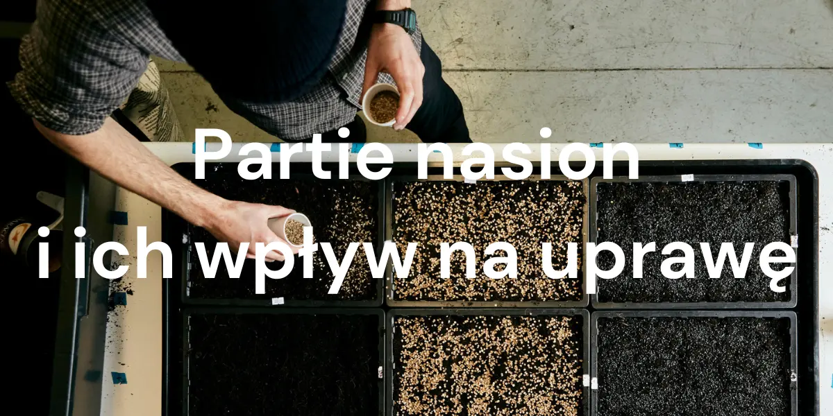 Wszystko, co chcesz wiedzieć o partiach nasion (ale boisz się zapytać)