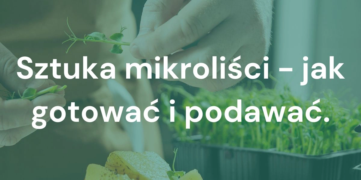 Sztuka Mikroliści: Sekrety Ich Przygotowania, Gotowania i Serwowania