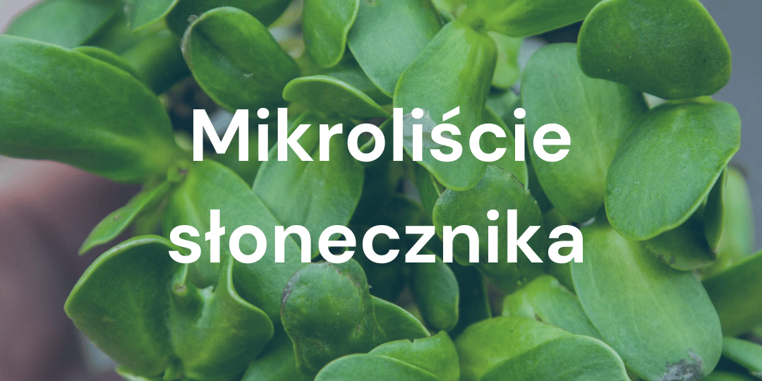 Słonecznik Nasiona Microgreens: Najlepszy Wybór dla Twojego Zdrowia