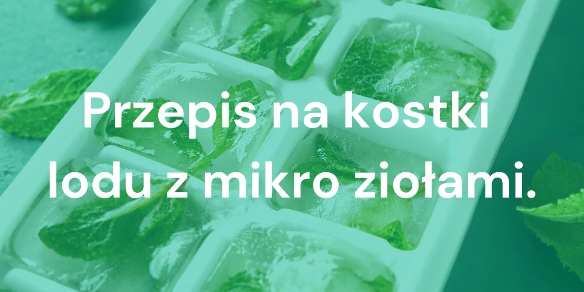 Przepis na Kostki Lodu z Mikro Ziołami