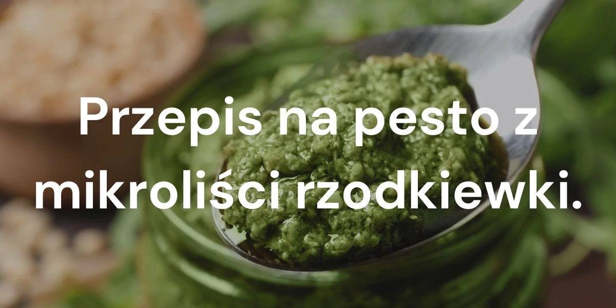 Przepis na pesto z mikroliści rzodkiewki