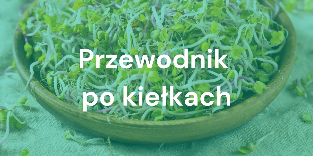 Czym są kiełki: Kompletny przewodnik dla miłośników miejskiego ogrodnictwa