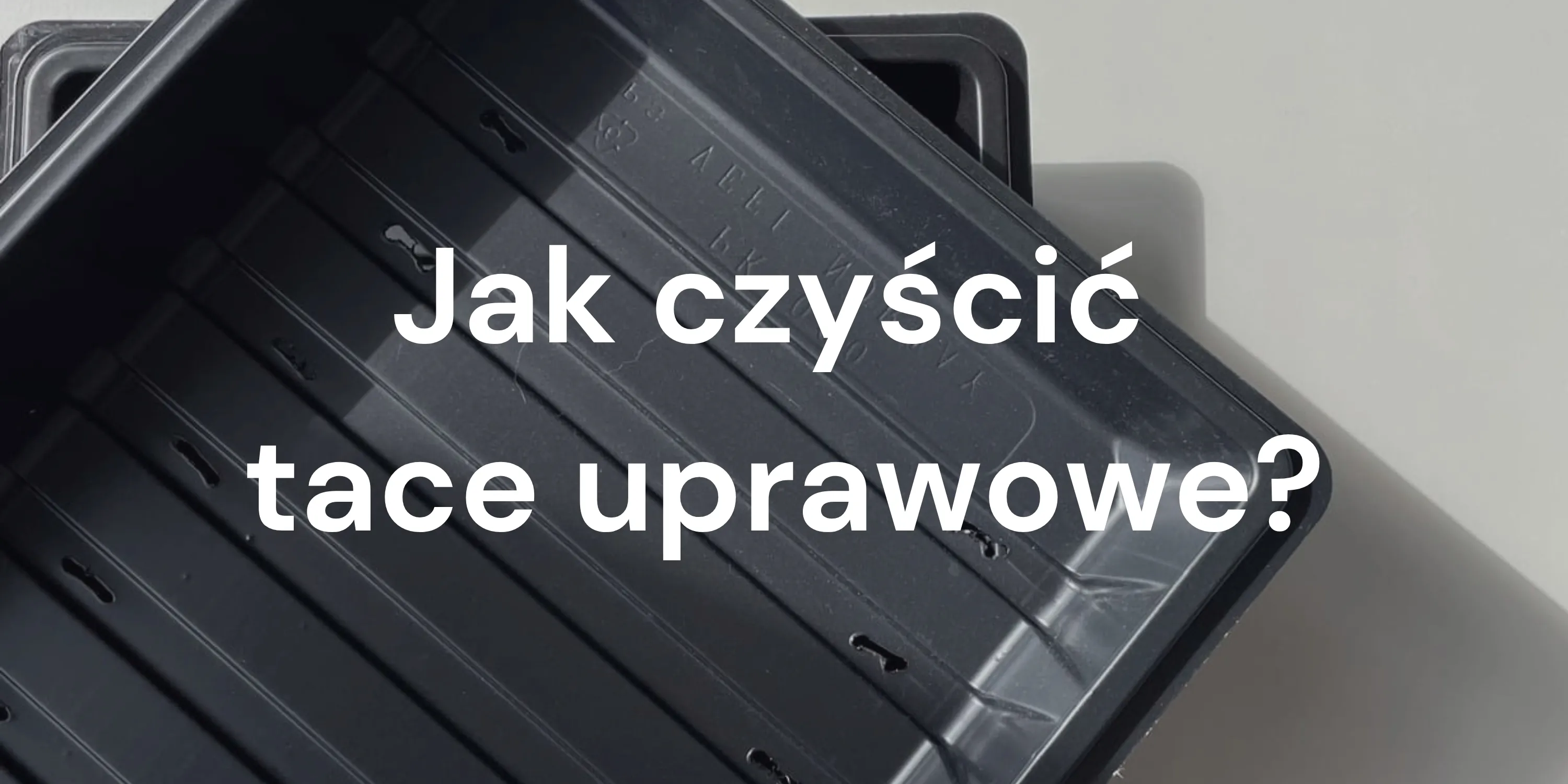 Jak czyścić tace uprawowe? Szybkie wskazówki dotyczące mycia i dezynfekcji