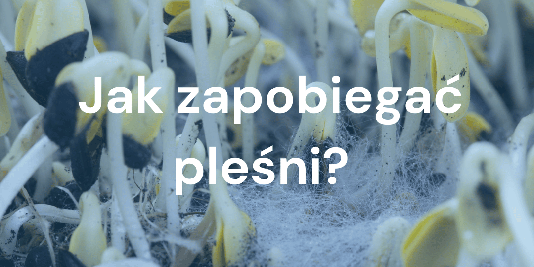 Zapobieganie rozwojowi pleśni na mikroziołach: