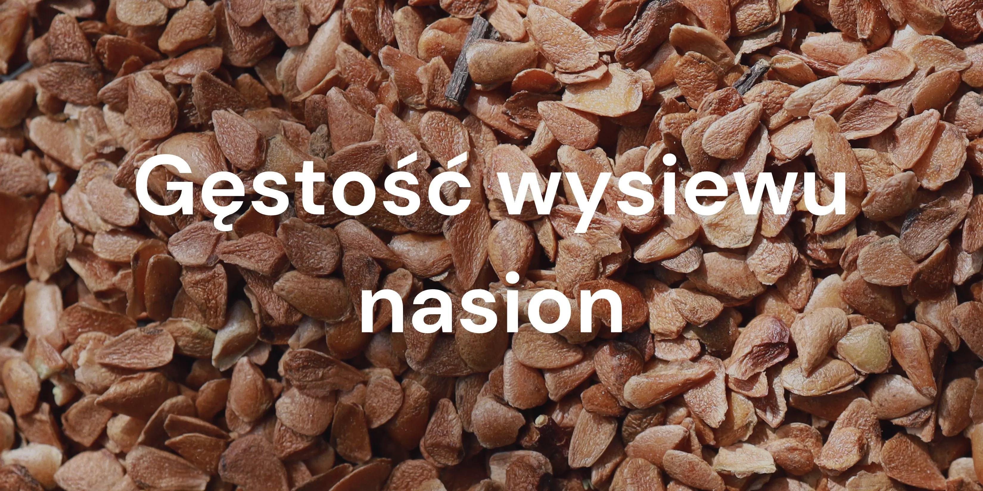 Jak gęsto siać nasiona na mikroliście? Praktyczny poradnik z tabelami.