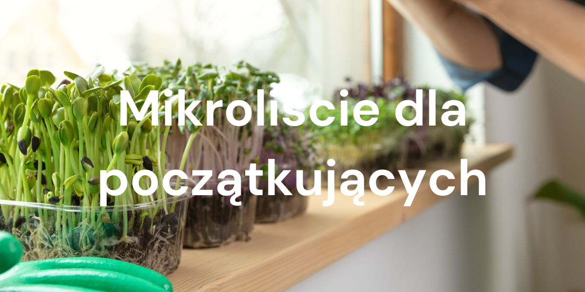 Mikroliście dla początkujących: szybki przewodnik po najlepszych odmianach