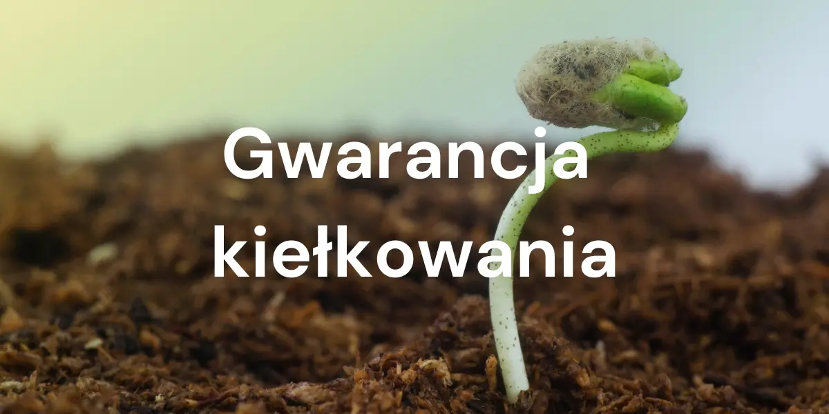 Wyjaśnienie Gwarancji Kiełkowania: procedura reklamacyjna KiełkujTo
