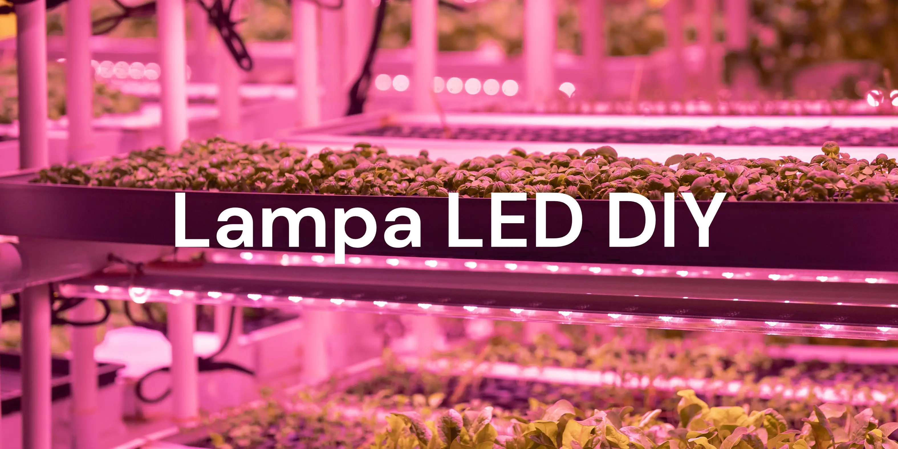 Lampa LED do uprawy mikroliści DIY