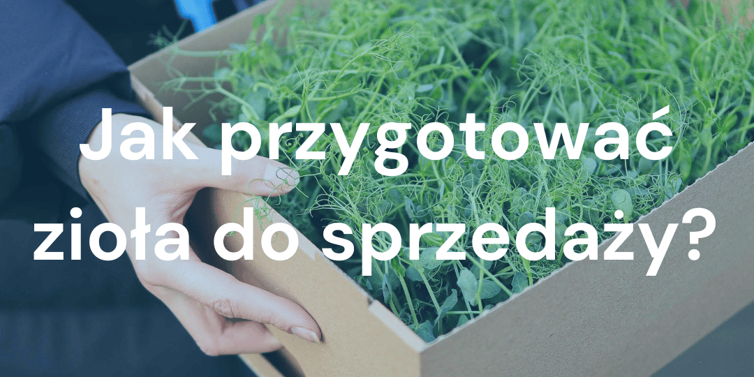 Przygotowanie mikrozioł do profesjonalnej sprzedaży: wskazówki i triki dla właścicieli małych firm