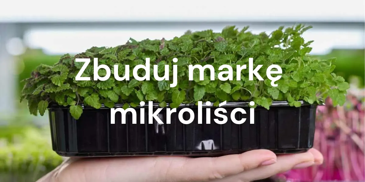 Jak budować lojalną bazę klientów i lokalnie rozwijać sprzedaż mikroliści?