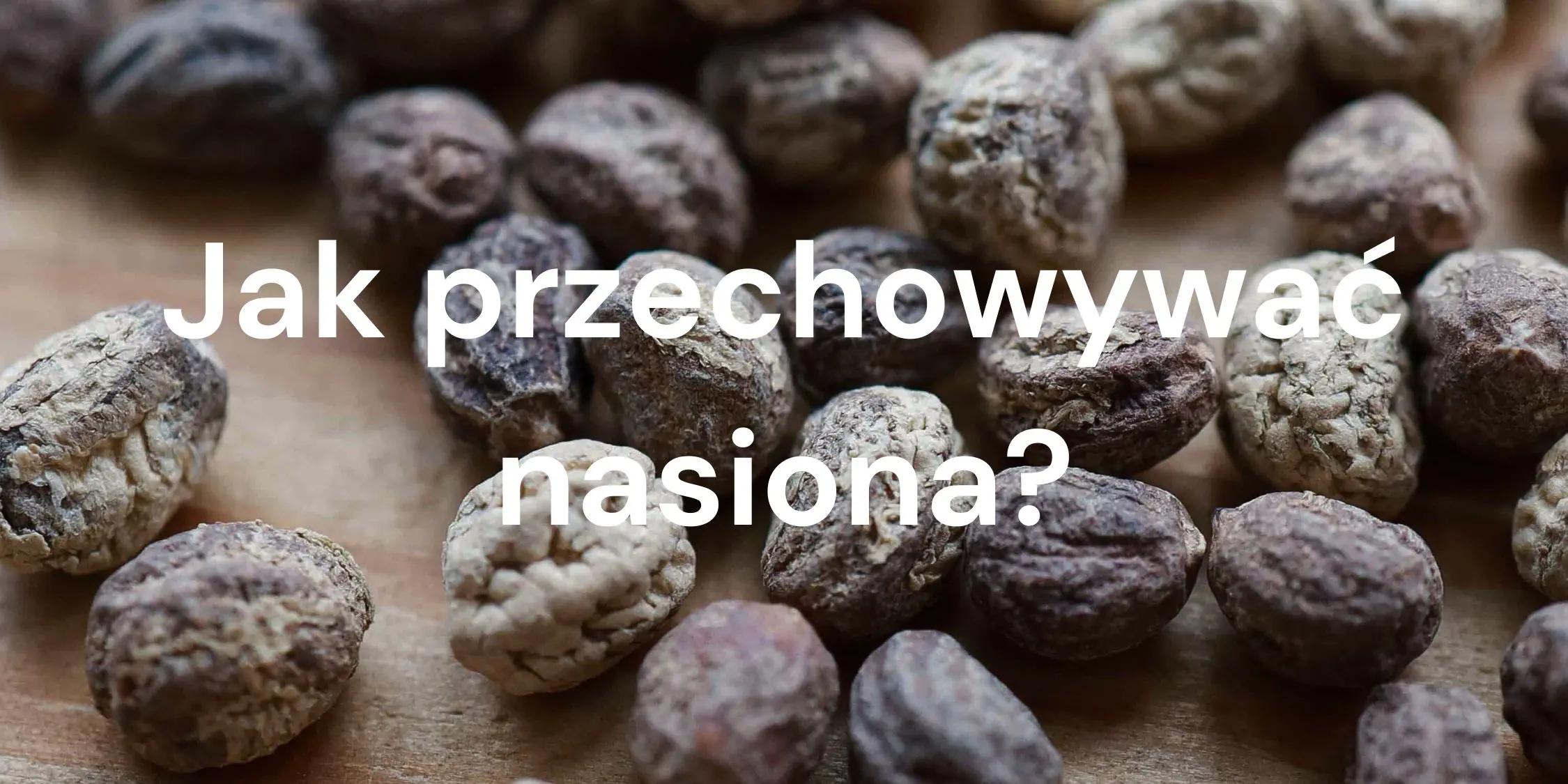 Sposoby przechowywania nasion. Co zrobić, by nasiona mikroliści zachowały wysoką jakość?