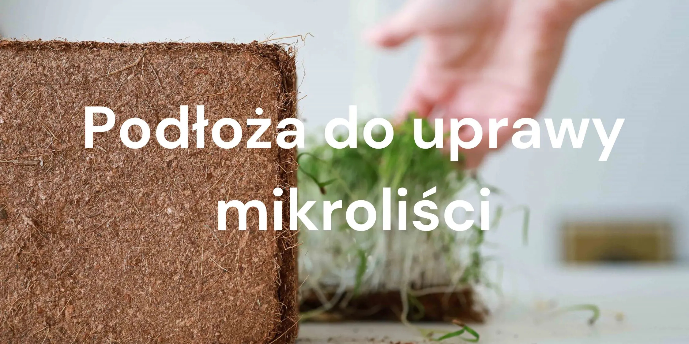 Kompletny przewodnik po podłożach uprawowych do mikroliści i upraw w kontrolowanym środowisku